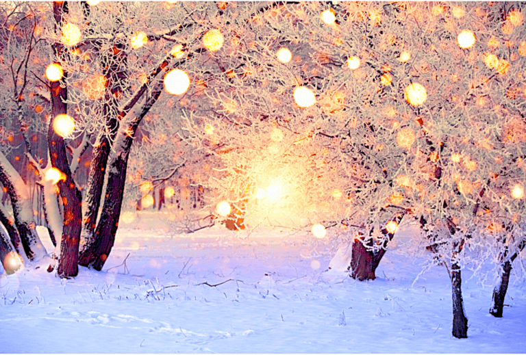 Winter Scene with white lights in tree at sunset